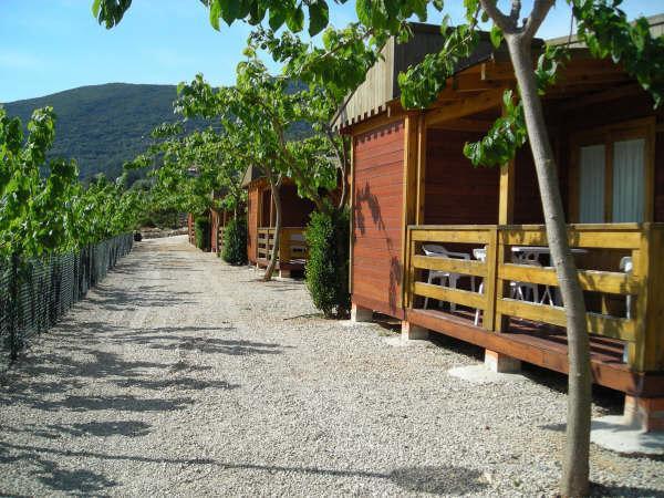 Cabanas Y Bungalows La Falaguera Bárig Exterior foto